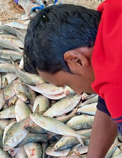 Ibrahim Working at the Alipur Fish Docks and Market – Bangladesh - Photo Credit: IbraDan Creative