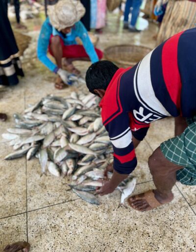 Ibrahim Working at the Alipur Fish Docks and Market – Bangladesh - Photo Credit: IbraDan Creative