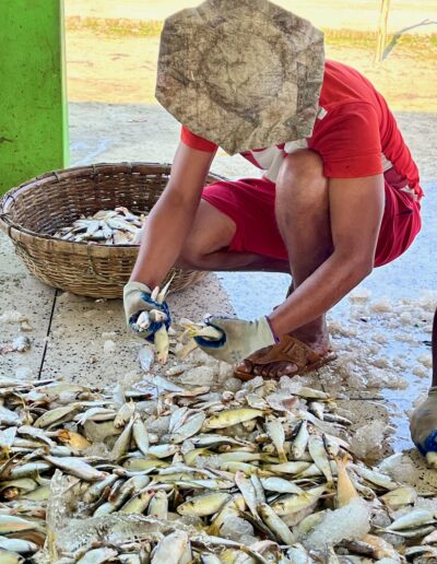 Ibrahim Working at the Alipur Fish Docks and Market – Bangladesh - Photo Credit: IbraDan Creative