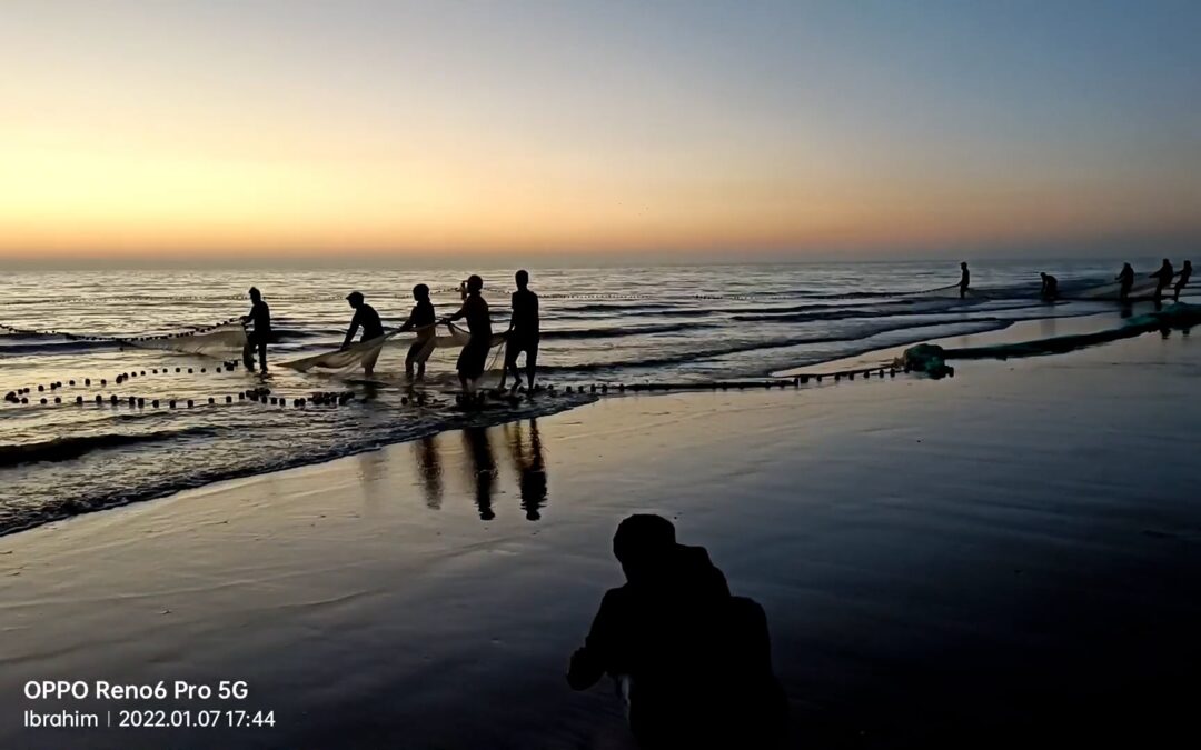 Bangladesh Fishermen Collecting Fish With Nets at Sunset – Video