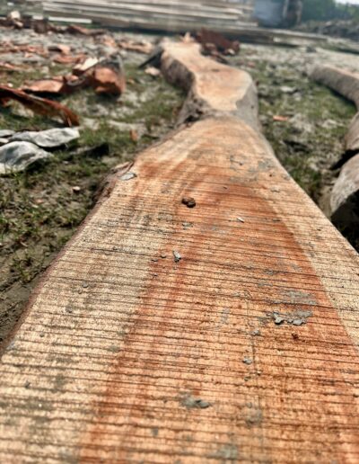 Building Wooden ‘Sampan’ Fishing Boats – Bangladesh - Image Credit Daniel~Ibrahim